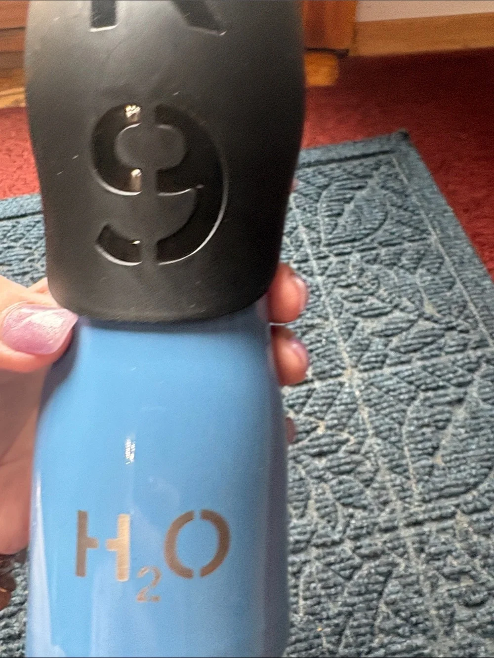 H2O GO Stainless Water Bottle in Light Blue with Black Cap